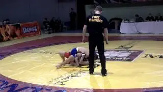 Чемпионат России по ММА (по версии Free Fighting)