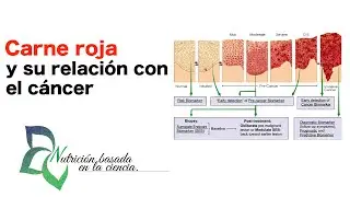Comer carne roja y procesada aumenta los riesgos de c&aacute;ncer - Nutrici&oacute;n basada en la ciencia.