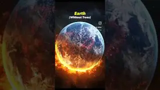 EARTH WITHOUT HUMANS #Climetchange #nature #distroy #shorts