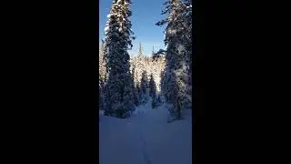 Discesa in dolina a -35°C Altipiano dei Sette Comuni inversione termica frost-hollow Meteotriveneto