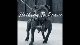 Nothing To Prove Prod. By Vntg Jag