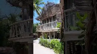 Maldives Nature Escape 🌴🐢 Exotic Paradise