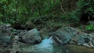 4K-HDR | Flowing River Water Therapy for Deep Sleep & Stress Release | Natural Calm Ambience to Rest