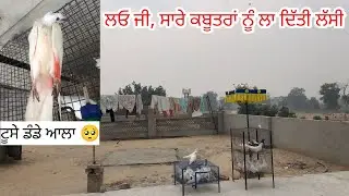 ਲਓ ਜੀ, ਅੱਜ ਲਾ ਦਿੱਤੀ ਸਾਰੇ ਕਬੂਤਰਾ 🕊️ਨੂੰ ਲੱਸੀ॥ ajj la diti sare kabootra nu lasi,