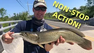 BOWFIN SLAM! (Hot Action on the Summer Bowfin)