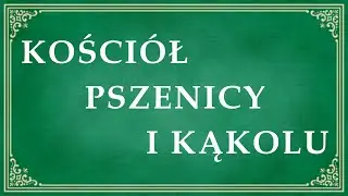 Kościół pszenicy i kąkolu – ks. Grzegorz Śniadoch IBP - 12 listopada 2023 r.