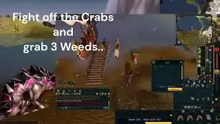 RS3 - Why Did the Lobster Blush - Quick Achievement Guide