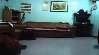 MLP In Real Life - Twilight Doesn't like gangnam style