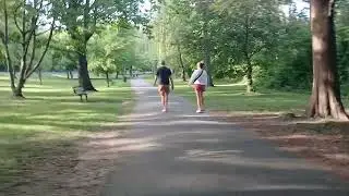 Bronx River Pathway