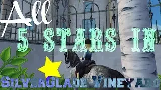 All 5 stars in Silverglade Vineyard - Star Stable online