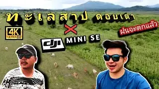 Lake of chaingmai ทะเลสาปดอยเต่า x Dji mini se I WOLF STUDIO I VLOG I Ep. 94 #ดอยเต่า #ทะเลสาป
