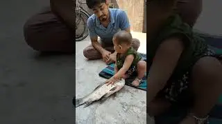 Baby Meet Fish for The First Time