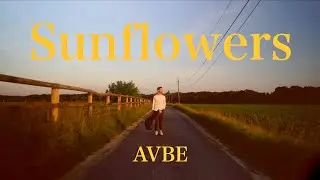 AVBE - Sunflowers (Music Video)