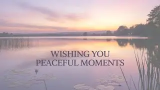 Quiet Roads Leading to the Heart of Dreams | Study & Focus Music & Sleeping