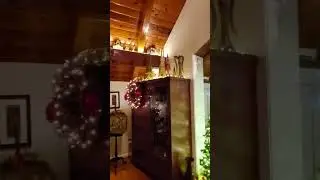 Vicki's Christmas 2022