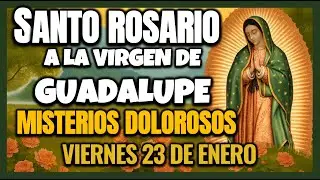 SANTO ROSARIO VIRGEN DE GUADALUPE MISTERIOS DOLOROSOS VIERNES 23 DE ENERO DE 2026. 46 ROSARIOS