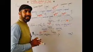 Wohler synthesis of urea | Rejection of vital force theorytheory..Lec#03