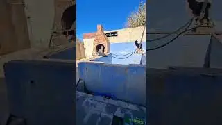 اخواتي عنوان حمورية سعر دنوم 60 الفدولتر#