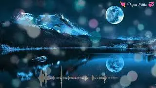 New status video/WhatsApp status video//Music Teun