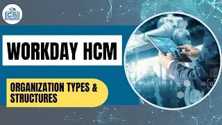 Organization Types and Structure In Workday | Workday Learning | Workday | Cyberbrainer