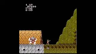 Ghosts N Goblins All Bosses NES