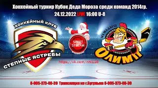 24.12.2022 СТЕПНЫЕ ЯСТРЕБЫ (Бузулук) - ОЛИМП (Мамадыш) LIVE 16:00  U 8