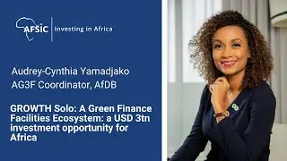 A Green Finance Facilities Ecosystem A USD 3tn investment opportunity for Africa