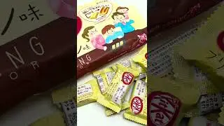Nestl&eacute; Kit Kat Mini 🍮 Pudding Flavor (Limited Edition)