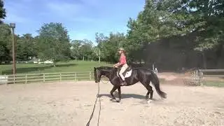 Gracie - lunge line lesson with timid walk trot kid - 6/30/22