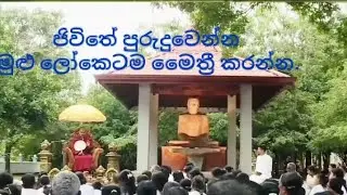 #පුජ්‍ය කන්තොරුවෙ සිරිධම්ම හිමි.#ජීවිතය පුරුදු වෙන්න මුළු ලෝකෙට මෛත්‍රී කරන්න.