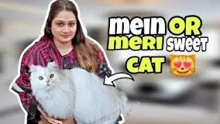 Main or meri sweet  cat 😻💕 aj api ky sath bazar   gai |mirha Rehman vlog 