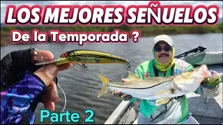 Pesca de ROBALO con los Mejores SEÑUELOS de la TEMPORADA parte 2 // Pesca con señuelo