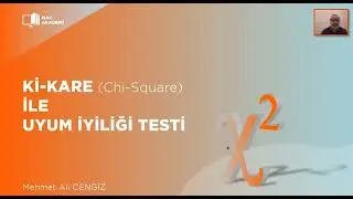 Ki-kare Bağımsızlık Testleri