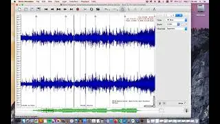 Introduction to Sonic Visualizer