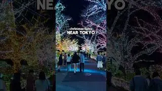 Japan&rsquo;s winter illuminations are the best! 🤩 #japantravel #tokyo #christmaslights #winterwonderland