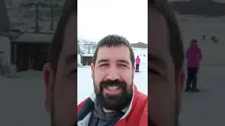 &iquest;Sobreviven Las Hormigas En La Nieve? #tips #curiosidades #nature #shorts
