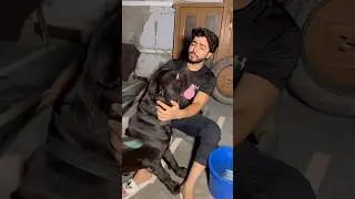 Z black gaadi 😂 #albadi #comedy #albadivlogs #comedyvideos #funny #funnyshorts