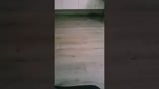 21 ноября 2023 г.