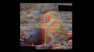 I'LL SAY GOODBYE  Deep Meats I & II LP WEAREBISON Promotional Video 2023
