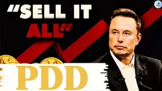 Is PDD Stock a Buy? 🚀 Expert Analysis and Price Predictions