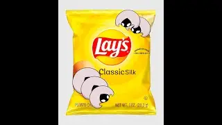 Lays in Silksong