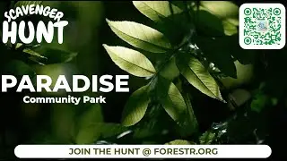 Paradise Park (Bay Area Scavenger Hunt Stop) &mdash; QR Code & Park Tour | Forestr.org + Plantify.org