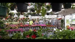 Jacavone Garden Center  |  Here to Help!