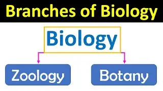 Branches of Biology | Main biology branches