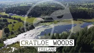 4K Drone view of Cratloe Wood, County Clare 🇮🇪 Ireland