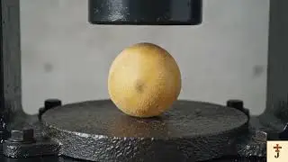 Collection of press machine videos for 1 week #satisfying #experiment #fypシ゚viral #relaxing #aivideo