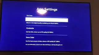 Roku: Change Streaming Quality Disney Plus app to Moderate or Save Data. Left Settings, App Settings