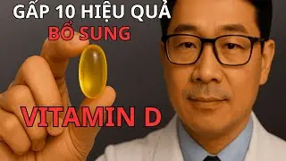Những Yếu Tố Giúp Hỗ Trợ Hấp Thu Vitamin D Trong Cơ Thể