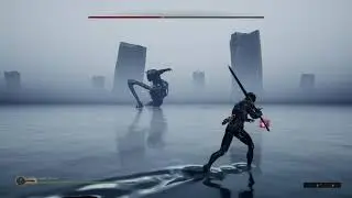 Mortal Shell: Shelless Unchained Fight