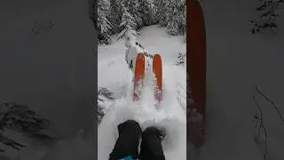 Dropping into a tree #skiing